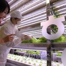 윤태현농장 이미지