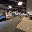 드래곤무인호텔 2 이미지