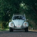 최우수 행정사 이미지