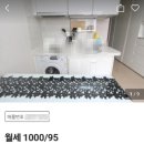 서울 금천구 가산동 월세 원룸 오피스텔 임대현황 공유