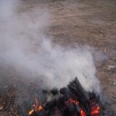 영림농장 이미지