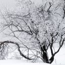 운주목장 이미지