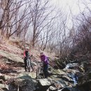 우면산5-6 이미지