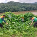 청룡저수지 이미지