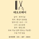 테오르헤어 이미지