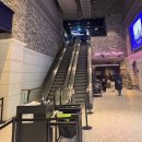 펫 로드스타 컴퍼니 | 아이 방학 영화관 나들이 추천! 고양 스타필드 메가박스 주차 꿀팁 주토피아2 더빙 후기