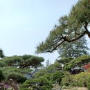 홍종흔베이커리&카페 이미지