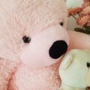 소풍게스트하우스&레드썬셋펜션 이미지