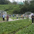 순천-15호 이미지