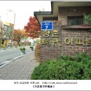 대전광역시 서구 둔산동 향촌아파트 이미지