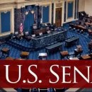 상원이네 이미지