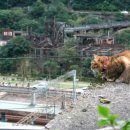 고양이마을 이미지