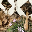 하우스유 이미지