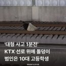 KTX 선로위에 돌덩이 올려둔 고등학생 이미지
