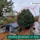 구산면686 네이버블로그