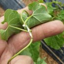 원재농장 이미지