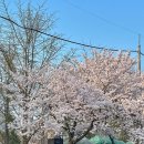 세븐일레븐 수원화서역점 이미지