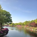 사선대관광지 | 전주 근교 아이랑 가기 좋은 곳 임실 사선대 피크닉 후기