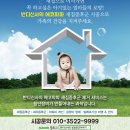 파파컨설던트