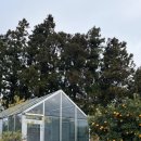 부쉬코너 이미지