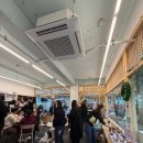 고양이 마을 | 성수 고양이카페 길고양이마을 방문후기 실내데이트 추천