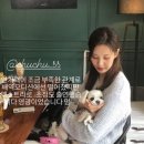 서현펫# 이미지