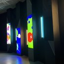 컴퍼니페이버 | 우리는 여전히 꿈을 꾼다 - <dreamer, 3:45 am> 전시회 후기 + 롯데월드타워 맛집