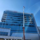 개미환경자원 이미지