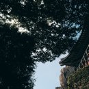 용이동 소로 2-665 | 남해 금산 보리암 주차장 입장료 및 풍경 후기