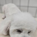 반자주 진해점 이미지