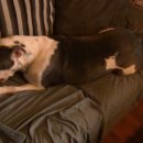 마! 주인 이미지