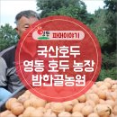 한골농장 이미지