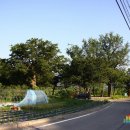 용산마을진입로 이미지