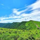 센텀부동산중개사무소 이미지