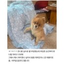 [당산리더스정형외과의원 영등포] 서울 당산역 정형외과 추천 후기 인생병원을 찾다