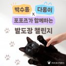 다홍문화 더밸류뉴스