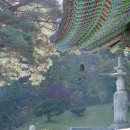 독송 이미지