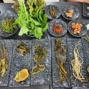 미시령통큰민물장어 이미지