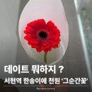 서현중앙길 | [서현] 서현역꽃집 가성비 꽃다발 1만원대 가능?? “그순간꽃 분당서현역점” 솔직후기 🌸