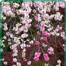 자연과한의원 수원 이미지