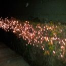 하라부동산공인중개사사무소 이미지