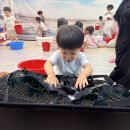 [8월1주]고운반 갯벌체험 테마놀이🦐🦑 이미지