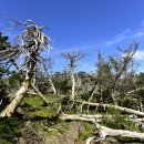 (주)풀과나무 이미지