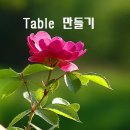 멋진 Table 만들기*색상표 이미지