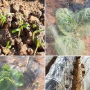 아마골농장 이미지