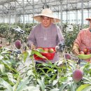 최명환농장 이미지