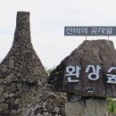 2차 제주도 걷기여행. 두째날 (23.11.10) 환상숲 곶자왈. 이미지