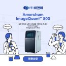 비앤비(B&B)주식회사 네이버블로그
