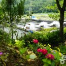 어름치마을 이미지