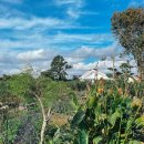 스테이애옥 이미지